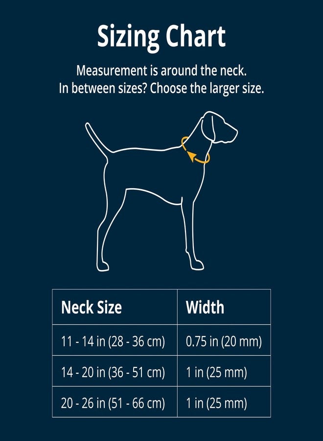 Ruffwear, Top Rope Dog Collar, Premium Secure Stainless Steel Talon Buckle, Reflective Padded Adjustable Heavy Duty Nylon with Silent ID Attachment, Enhanced Protection, River Rock Green, 14"-20" - Image 2